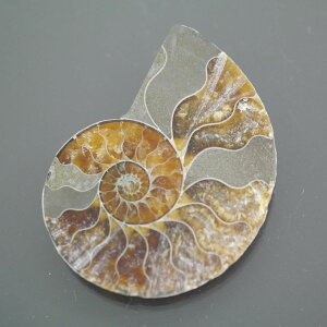 }_KXJ YAiCg n[tJbg 1_ TCY10.5g 42.2mm×32.7mm×6.5mm  F VF D VR |XgzI\ł