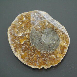 }_KXJ YAiCg n[tJbg 1_ TCY7.9g 34.7mm×30.3mm×5.7mm  F VF D VR |XgzI\ł