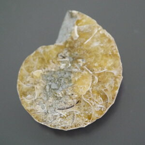 }_KXJ YAiCg n[tJbg 1_ TCY9.4g 33.4mm×27.4mm×8.1mm  F VF D VR |XgzI\ł