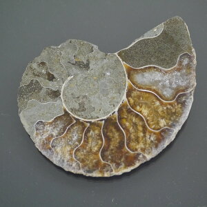 }_KXJ YAiCg n[tJbg 1_ TCY19.4g 56.8mm×46.4mm×7.6mm  F VF D VR |XgzI\ł