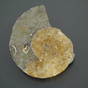 }_KXJ YAiCg n[tJbg 1_ TCY4.9g 31mm×25.6mm×5.2mm  F VF D VR |XgzI\ł