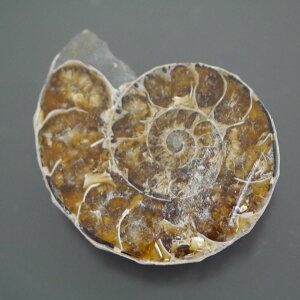 }_KXJ YAiCg n[tJbg 1_ TCY15.8g 38mm×31.5mm×10.8mm  F VF D VR |XgzI\ł