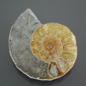 }_KXJ YAiCg n[tJbg 1_ TCY11.5g 35.7mm×30.3mm×9.5mm  F VF D VR |XgzI\ł