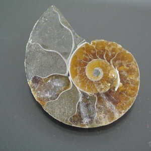 }_KXJ YAiCg n[tJbg 1_ TCY5.7g 33.2mm×25.7mm×6.3mm  F VF D VR |XgzI\ł