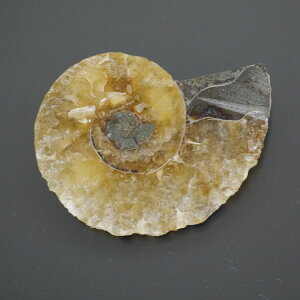 }_KXJ YAiCg n[tJbg 1_ TCY7.6g 38.2mm×29.5mm×6.8mm  F VF D VR |XgzI\ł