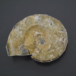 }_KXJ YAiCg n[tJbg 1_ TCY8.6g 34mm×26.4mm×7.6mm  F VF D VR |XgzI\ł