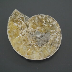 }_KXJ YAiCg n[tJbg 1_ TCY9.5g 36mm×29.5mm×7.2mm  F VF D VR |XgzI\ł