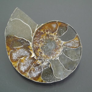 }_KXJ YAiCg n[tJbg 1_ TCY7.2g 34.7mm×27.3mm×6.5mm  F VF D VR |XgzI\ł