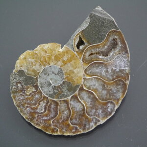 }_KXJ YAiCg n[tJbg 1_ TCY10.3g 43mm×35.1mm×6.9mm  F VF D VR |XgzI\ł