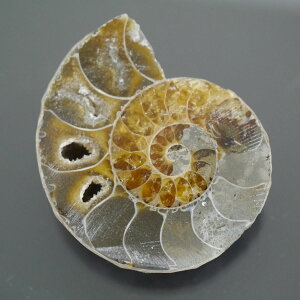 }_KXJ YAiCg n[tJbg 1_ TCY18.9g 39.1mm×32.5mm×12.4mm  F VF D VR |XgzI\ł