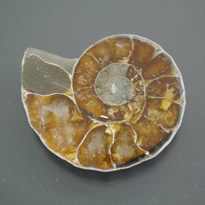 }_KXJ YAiCg n[tJbg 1_ TCY5.6g 29.8mm×24.9mm×5.9mm  F VF D VR |XgzI\ł