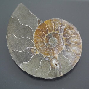 }_KXJ YAiCg n[tJbg 1_ TCY21.3g 52.4mm×40.7mm×8.3mm  F VF D VR |XgzI\ł