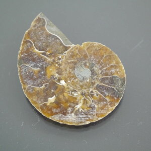 }_KXJ YAiCg n[tJbg 1_ TCY4.1g 32.7mm×24.9mm×4.8mm  F VF D VR |XgzI\ł