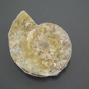 }_KXJ YAiCg n[tJbg 1_ TCY8.1g 33.2mm×26.7mm×7.4mm  F VF D VR |XgzI\ł