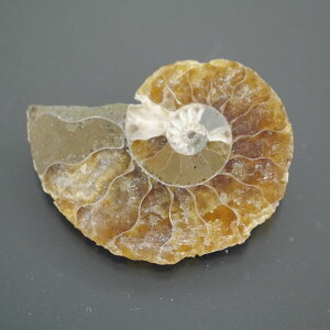 }_KXJ YAiCg n[tJbg 1_ TCY4.1g 30.6mm×23.1mm×5.6mm  F VF D VR |XgzI\ł