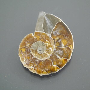 }_KXJ YAiCg n[tJbg 1_ TCY4.6g 29mm×24.1mm×6.3mm  F VF D VR |XgzI\ł