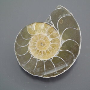 }_KXJ YAiCg n[tJbg 1_ TCY13.2g 34mm×27.6mm×9.5mm  F VF D VR |XgzI\ł