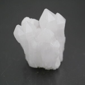 `xbgYq}NX^[ 1_ cluster-254 49.4g VR΁Eu |Xgzs