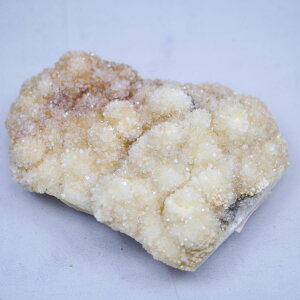 VgNX^[VRF 1_ cluster-CITR26 608g VR΁Eu |Xgzs