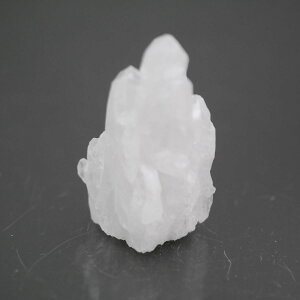 �`�x�b�g�Y�q�}���������N���X�^�[ 1�_�� cluster-56 ��34.4g �V�R�΁E�u���� �|�X�g�����z���s��