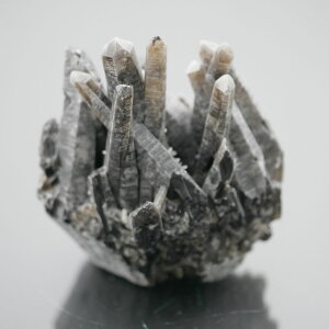 I NX^[ PAS[ NX^[ `xbgY  1_   j  194.4g VR΁Eu