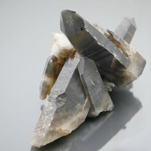 I NX^[ PAS[ NX^[ `xbgY  1_   j  1090g VR΁Eu