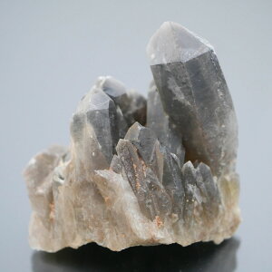 I NX^[ PAS[ NX^[ `xbgY  1_   j  275g VR΁Eu