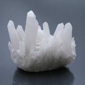 `xbgYq}NX^[ 1_ 176g VR΁Eu |Xgzs