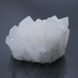 `xbgYq}NX^[ 1_ 401g VR΁Eu |Xgzs