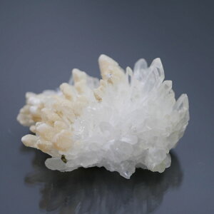 lȎY eԐ NX^[ 1_ 78g VR΁Eu   |Xgzs