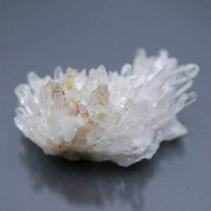 lȎY eԐ NX^[ 1_ 29g VR΁Eu   |Xgzs