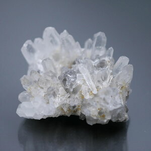 �l��ȎY �e�Ԑ��� �N���X�^�[ 1�_�� ��43g �V�R�΁E�u���� ��� �� �|�X�g�����z���s��