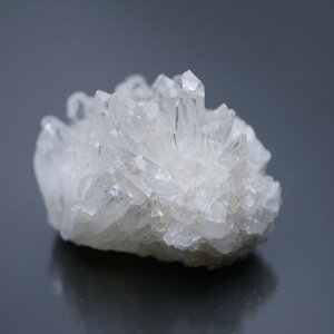 lȎY eԐ NX^[ 1_ 53g VR΁Eu   |Xgzs