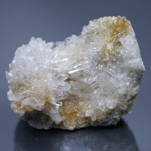 lȎY eԐ NX^[ 1_ 210giVRVgj VR΁Eu   |Xgzs