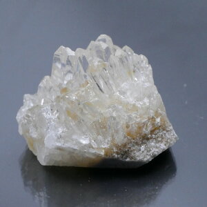 lȎY eԐ NX^[ 1_ 44g VR΁Eu   |Xgzs