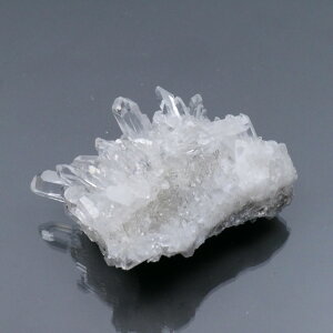 lȎY eԐ NX^[ 1_ 67g VR΁Eu   |Xgzs