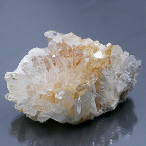 lȎY eԐ NX^[ 1_ 115giVRVgj VR΁Eu   |Xgzs