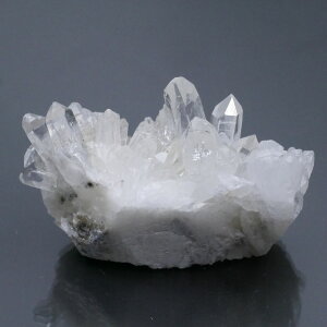 lȎY eԐ NX^[ 1_ 57g VR΁Eu   |Xgzs