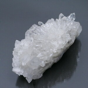 lȎY eԐ NX^[ 1_ 84g iC{[j VR΁Eu   |Xgzs