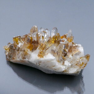 lȎY eԐ NX^[ 1_ 36g VR΁Eu   |Xgzs