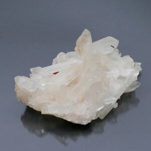 SY  NX^[ 1_ 164g(W^[~l[^[) VR΁Eu   |Xgzs