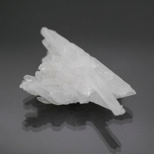 �`�x�b�g�Y�q�}���������N���X�^�[ 1�_�� cluster-50 ��31g �V�R�΁E�u���� �|�X�g�����z���s��