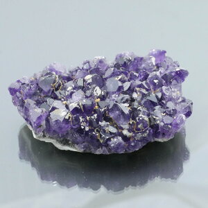 EOACYAWXgNX^[ ZF 1_ 144g VR u  ^ ^ 