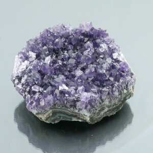 EOACYAWXgNX^[ ZF 1_ 296g VR u  ^ ^ 