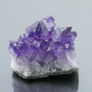 EOACYAWXgNX^[ ZF 1_ 40g VR u  ^ ^ 