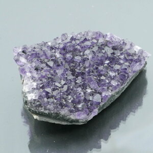 EOACYAWXgNX^[ ZF 1_ 83g VR u  ^ ^ 