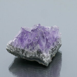 EOACYAWXgNX^[ ZF 1_ 21g VR u  ^ ^ 