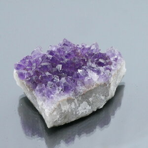 EOACYAWXgNX^[ ZF 1_ 47g VR u  ^ ^ 