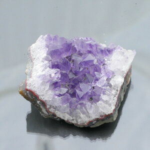 EOACYAWXgNX^[ ZF 1_ 81g VR u  ^ ^ 