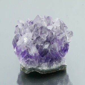 EOACYAWXgNX^[ ZF 1_ 84g VR u  ^ ^ 